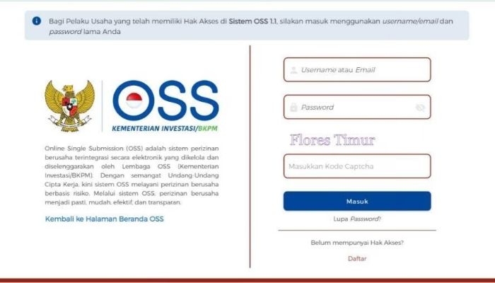 Cara Membuat NIB Online 2026 Gratis Lewat OSS, Lengkap dengan Syarat dan Panduannya