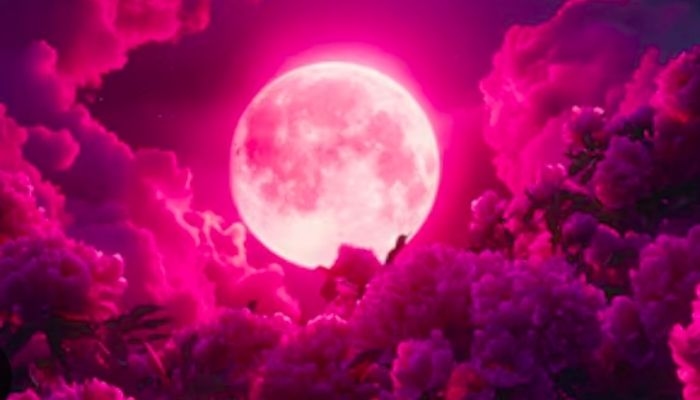 Apakah Pink Moon Ada di Indonesia? Ini Penjelasan dan Cara Melihatnya