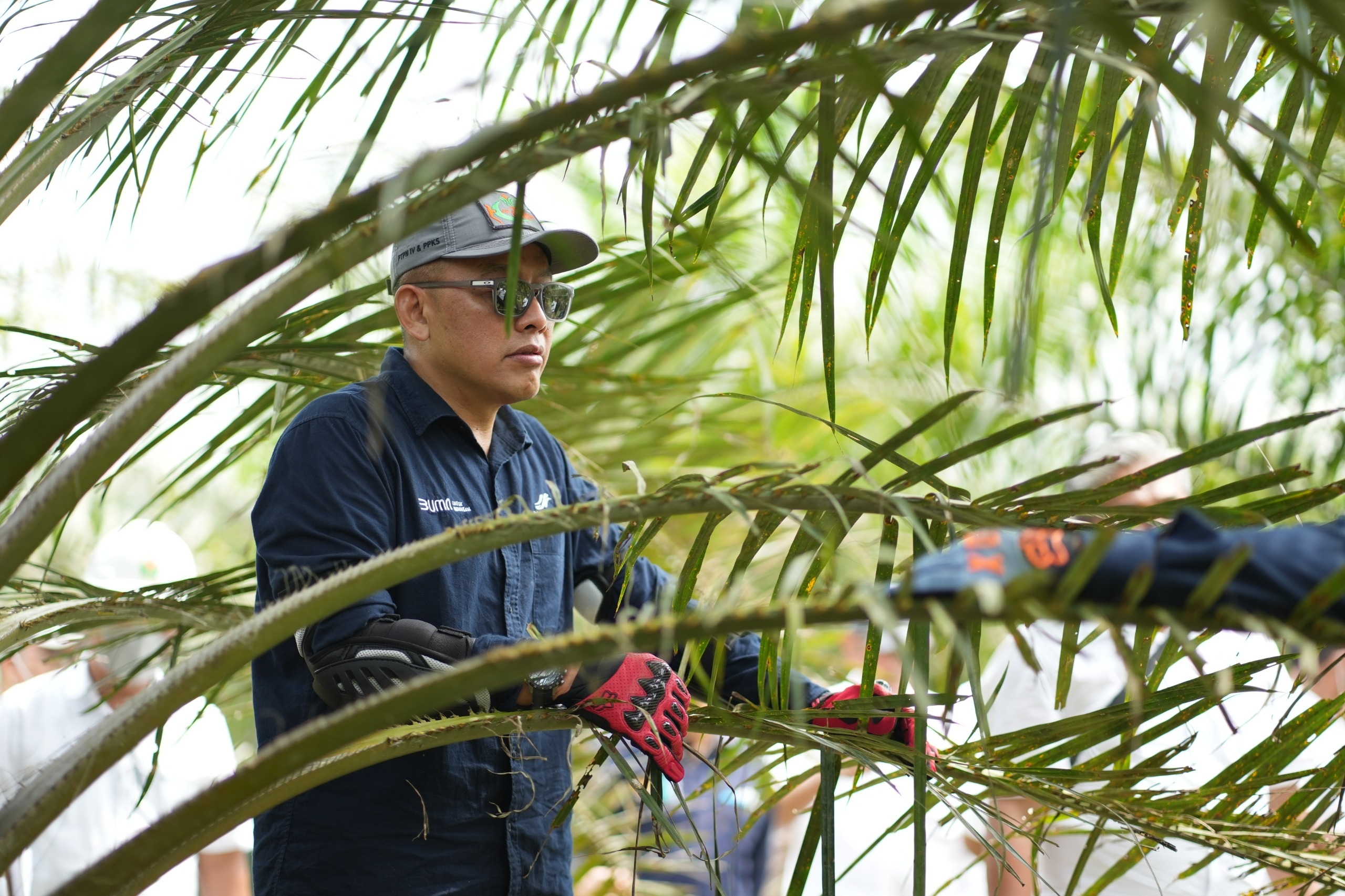BMKG Prediksi El Nino, PalmCo Perkuat Mitigasi Karhutla dan Produksi