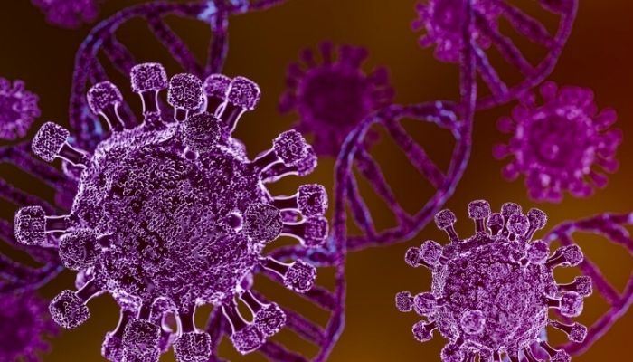 Apa Itu Hantavirus? Virus yang Diduga Picu Kematian di Kapal Pesiar Mewah