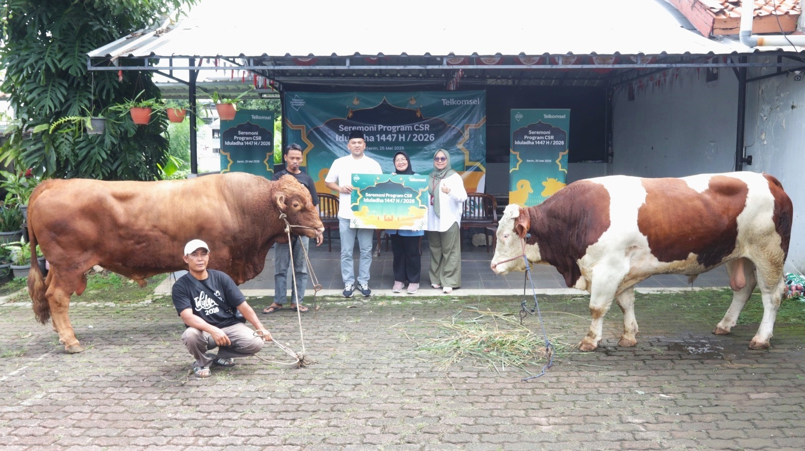 Perluas Manfaat bagi Masyarakat Melalui Semangat Kebersamaan, Telkomsel Salurkan Hewan Kurban Iduladha 1447 H
