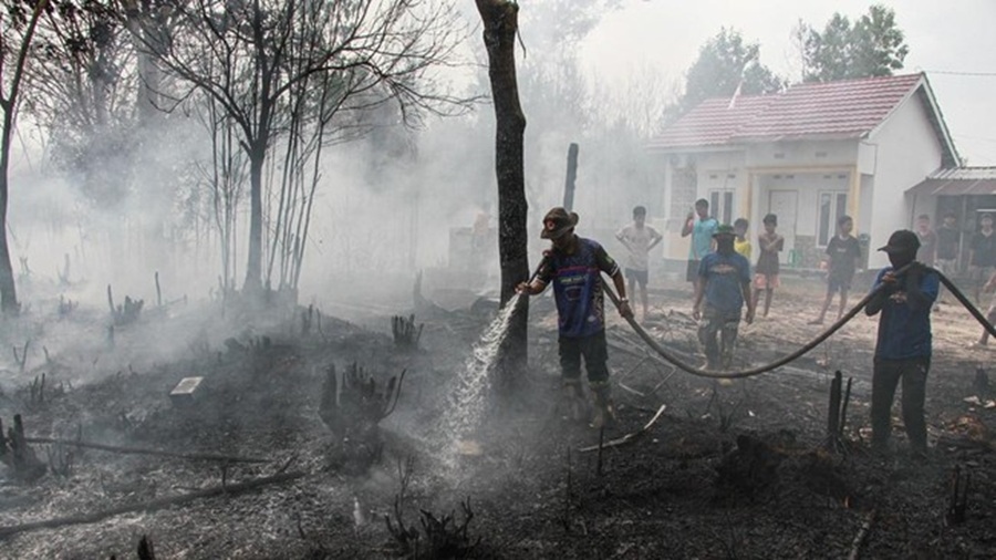 Karhutla di Kalimantan Terus Meluas, Pemerintah Didesak Ambil Langkah Luar Biasa