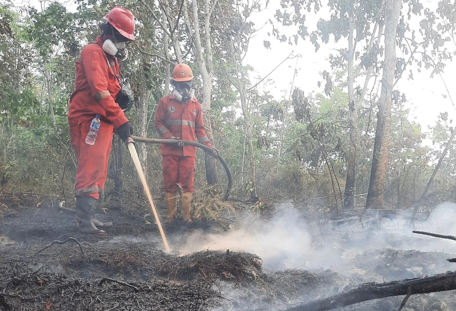 Penanganan Karhutla di Kalimantan Diperkuat, Pemerintah Kerahkan 12.880 Personel hingga Buat Sumur Bor