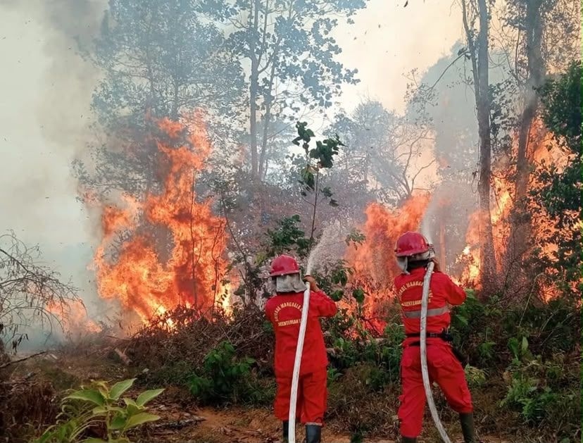 Perkuat Pemadaman Karhutla Kalimantan, Kemenhub Beri Izin Khusus 35 Pesawat Asing