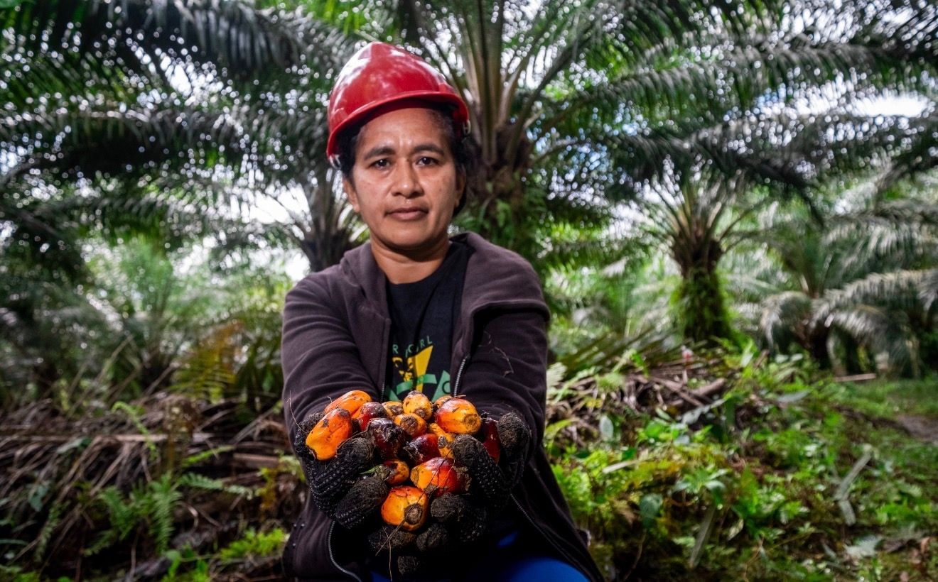 Industri Sawit Perkuat Perlindungan dan Kesetaraan Hak Perempuan Pekerja