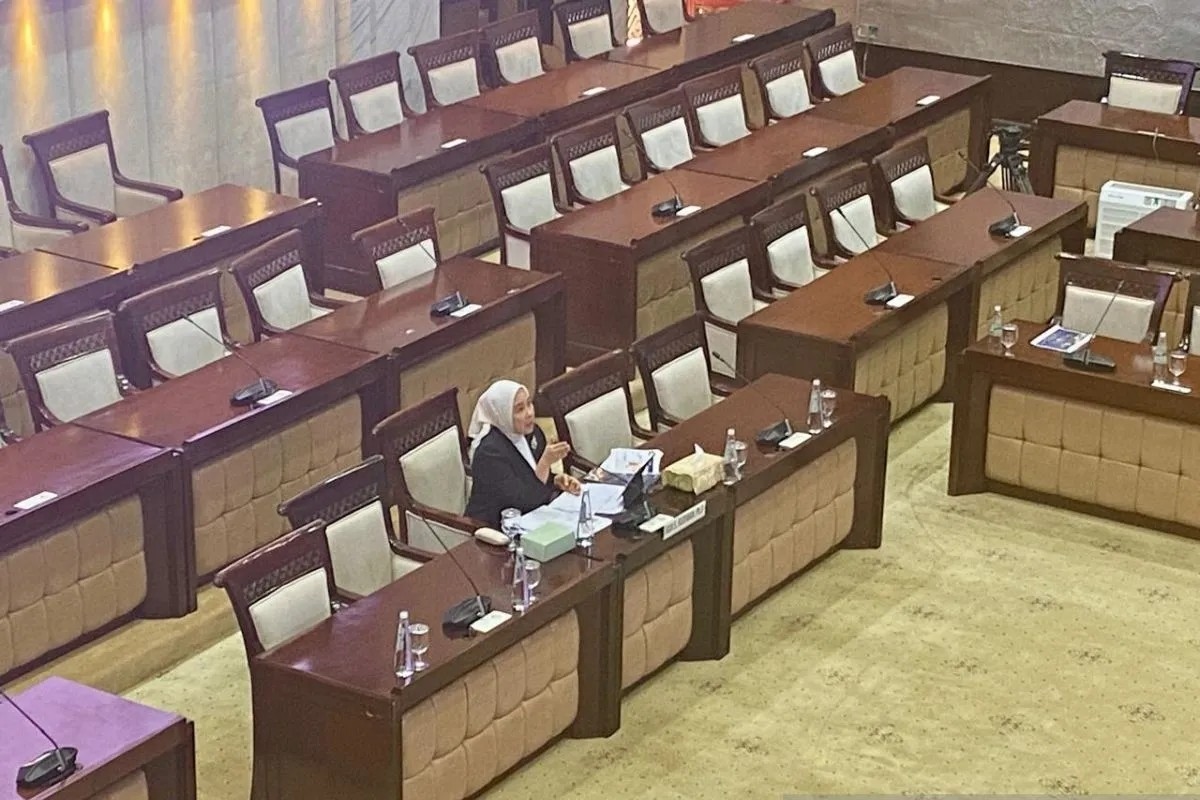 Aida Budiman Sebut Pertumbuhan Ekonomi 6 Persen di 2027 Tergantung 3 Hal Ini