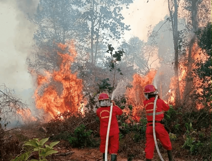 Kementerian PU Perkuat Penanganan Karhutla di 3 Provinsi