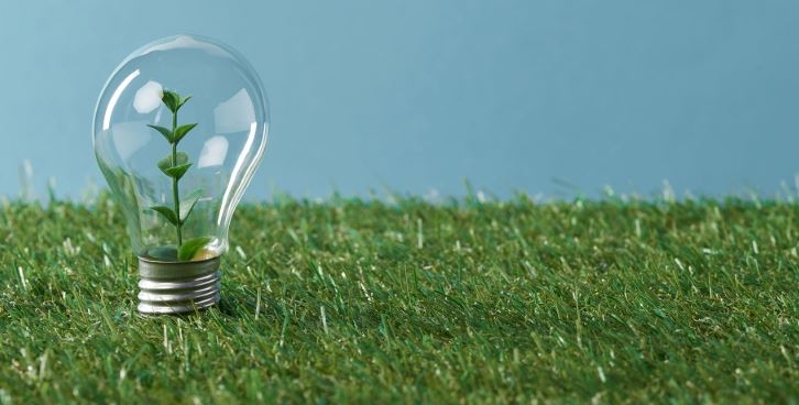 Apa yang Dimaksud Bioenergi? Ini Penjelasan Lengkapnya