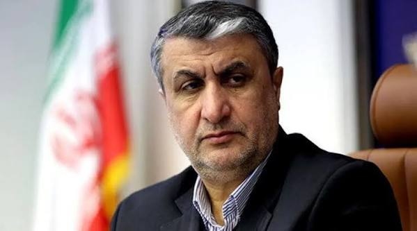 Iran dan IAEA Memanas, Mohammad Eslami Dilarang Hadiri Konferensi Nuklir di Wina