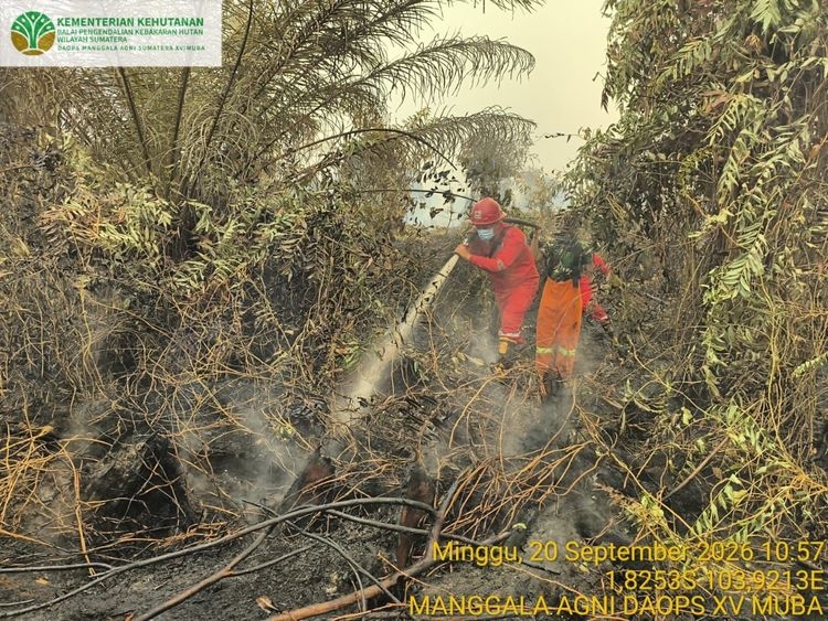 Penerintah Perkuat Pengendalian Karhutla Kalteng-Sumsel, 64 Armada Udara Dikerahkan
