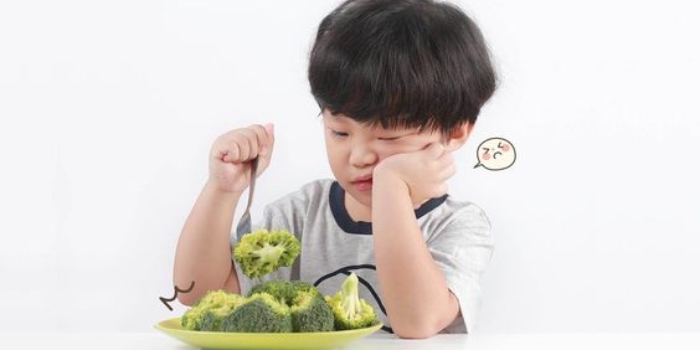 7 Tips Mengatasi Anak Yang Susah Makan, Orang Tua Wajib Tahu