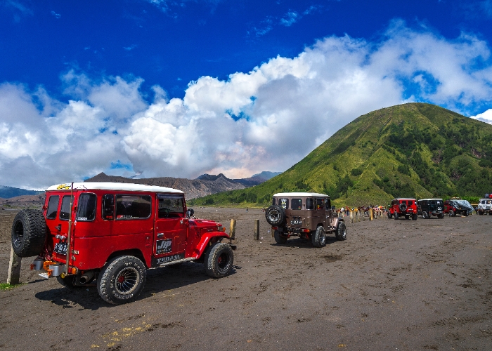Dampak Kebakaran Bromo, Hilangnya Keanekaragaman Hayati Dan Sumber Air