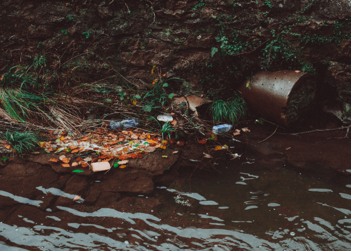 Jenis-jenis Polusi Dan Cara Menguranginya Di Lingkungan