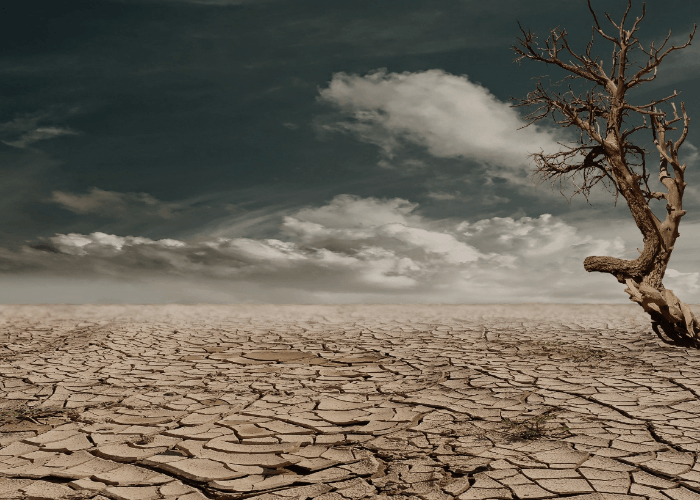 Ini Wilayah Terdampak Kemarau Di Indonesia Periode Mei-Oktober 2023