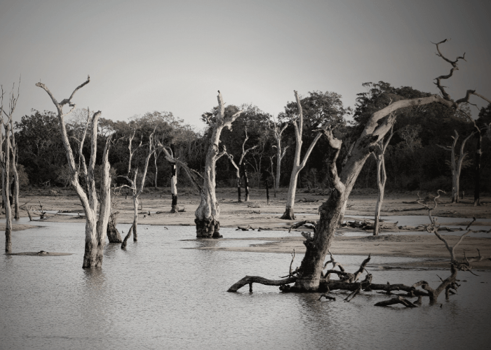Duh, Sejumlah Wilayah Indonesia Krisis Air Bersih