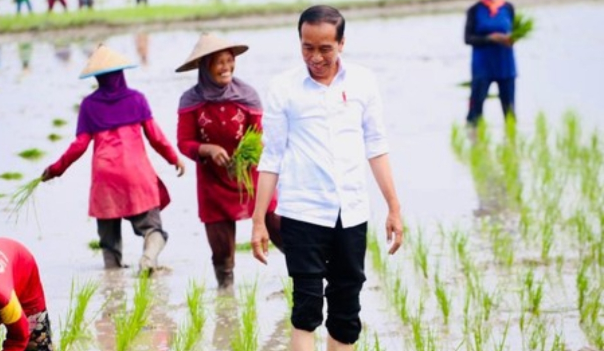 Dampak Perubahan Iklim: Tantangan Dan Solusi Di Hari Pangan Sedunia 2023