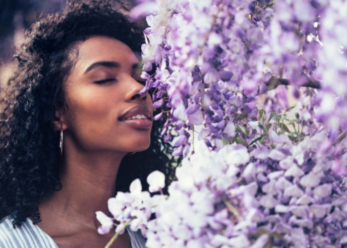 Manfaat Parfum Wangi Natural, Dapat Memicu Rasa Tenang Dan Cocok Meningkatkan Kualitas Tidur