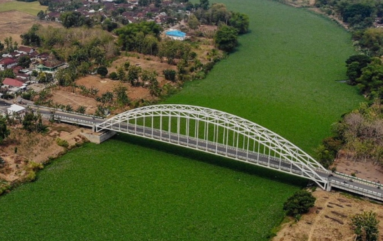 Fenomena Sungai Bengawan Solo Dipenuhi Eceng Gondok, Pertanda Baik Atau Buruk?