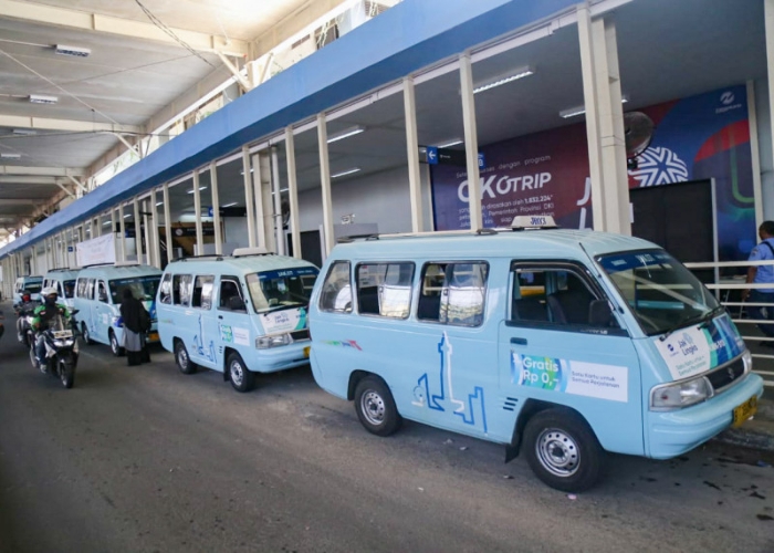 Subsidi Turun Lebih dari 50 Persen, Pengamat Transportasi : Pemerintah Abai Angkutan Umum