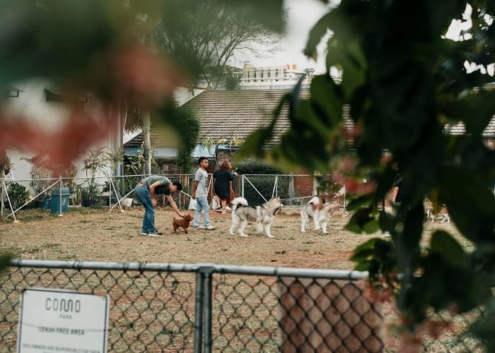 Como Park, Tempat Nongkrong Hits Pet Friendly di Jakarta