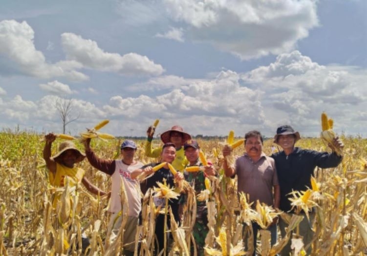 Menghadap Jokowi, Mentan lapor Target 1 Juta Hektare Tanam Padi dan Jagung Tercapai