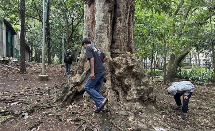 Ramainya Perburuan Koin Jagat Dampak dari Hidup yang Makin Susah