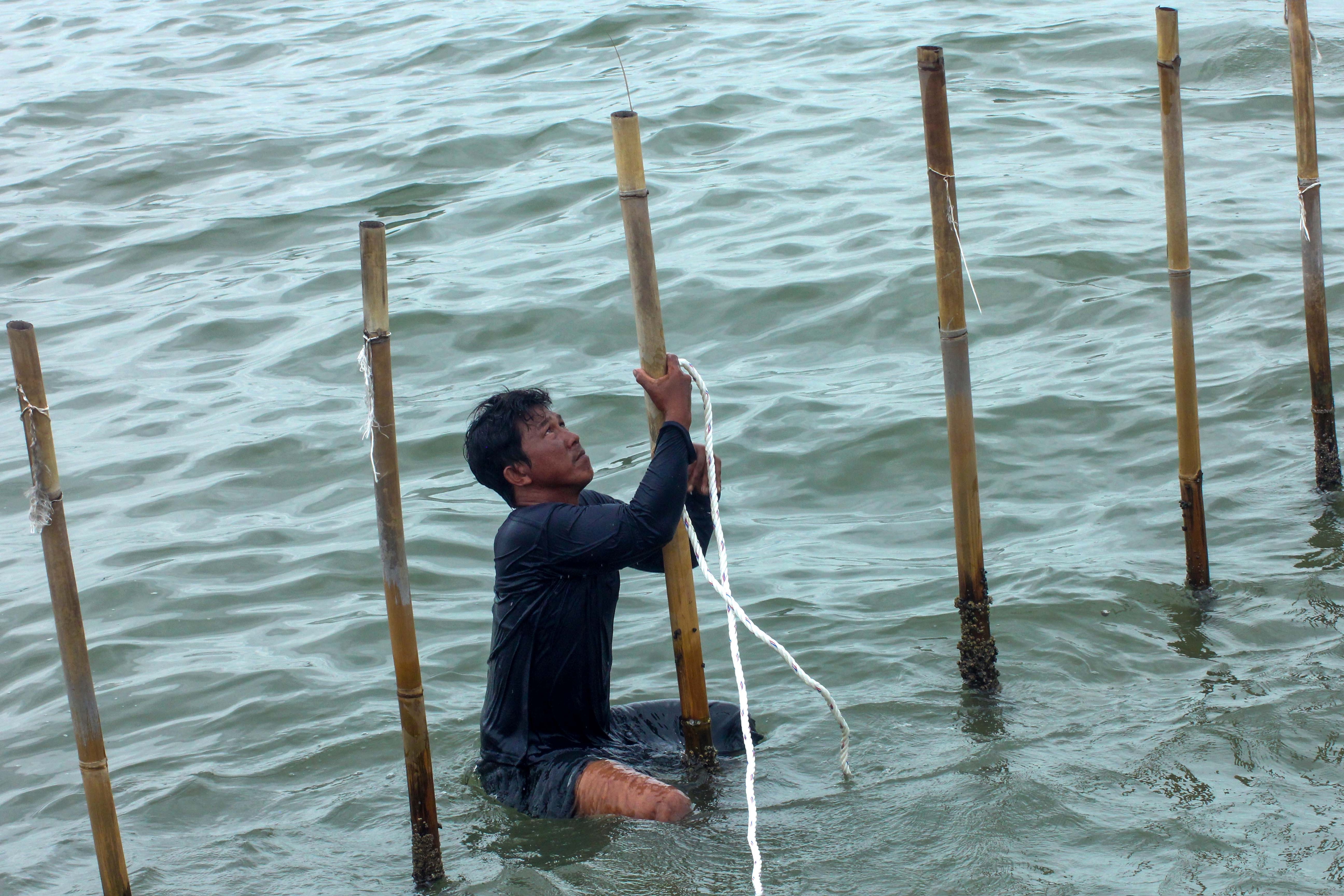 Badan Pengkajian MPR Ikut Usut Kasus Pagar Laut Ilegal
