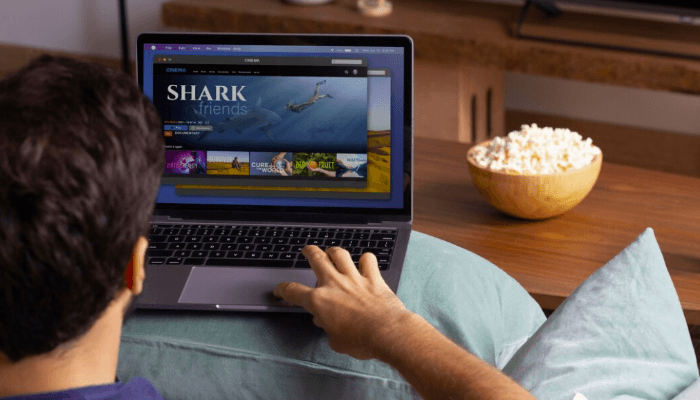 Nonton Film, Series, dan Anime di LK21 Rebahin IndoXXI Bikin Rugi! Coba Link Alternatif Legal Terbaru di Sini!