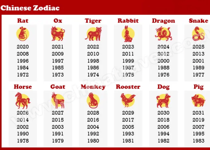 Ramalan Shio 21 Juli 2025: Saatnya Naga Bersinar, Ular Harus Lebih Bijak