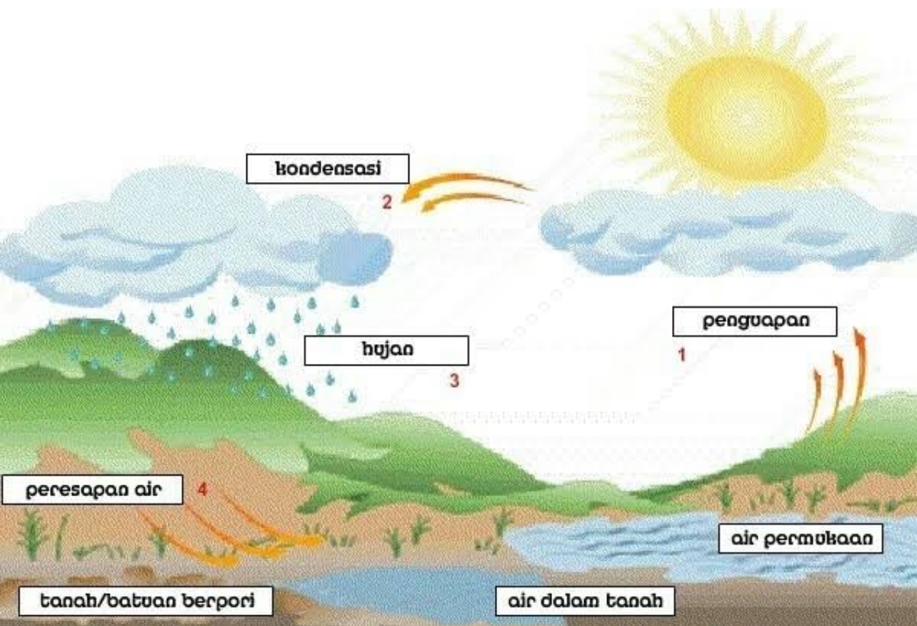 Apa Itu Kondensasi? Proses Alamiah yang Terjadi di Sekitar Kita