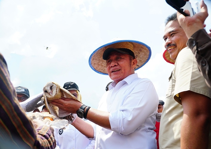 Gubernur Herman Deru Panen Raya Padi IP 200 di Banyuasin, Bukti Konsistensi Petani dan Dukungan Pemprov Sumsel