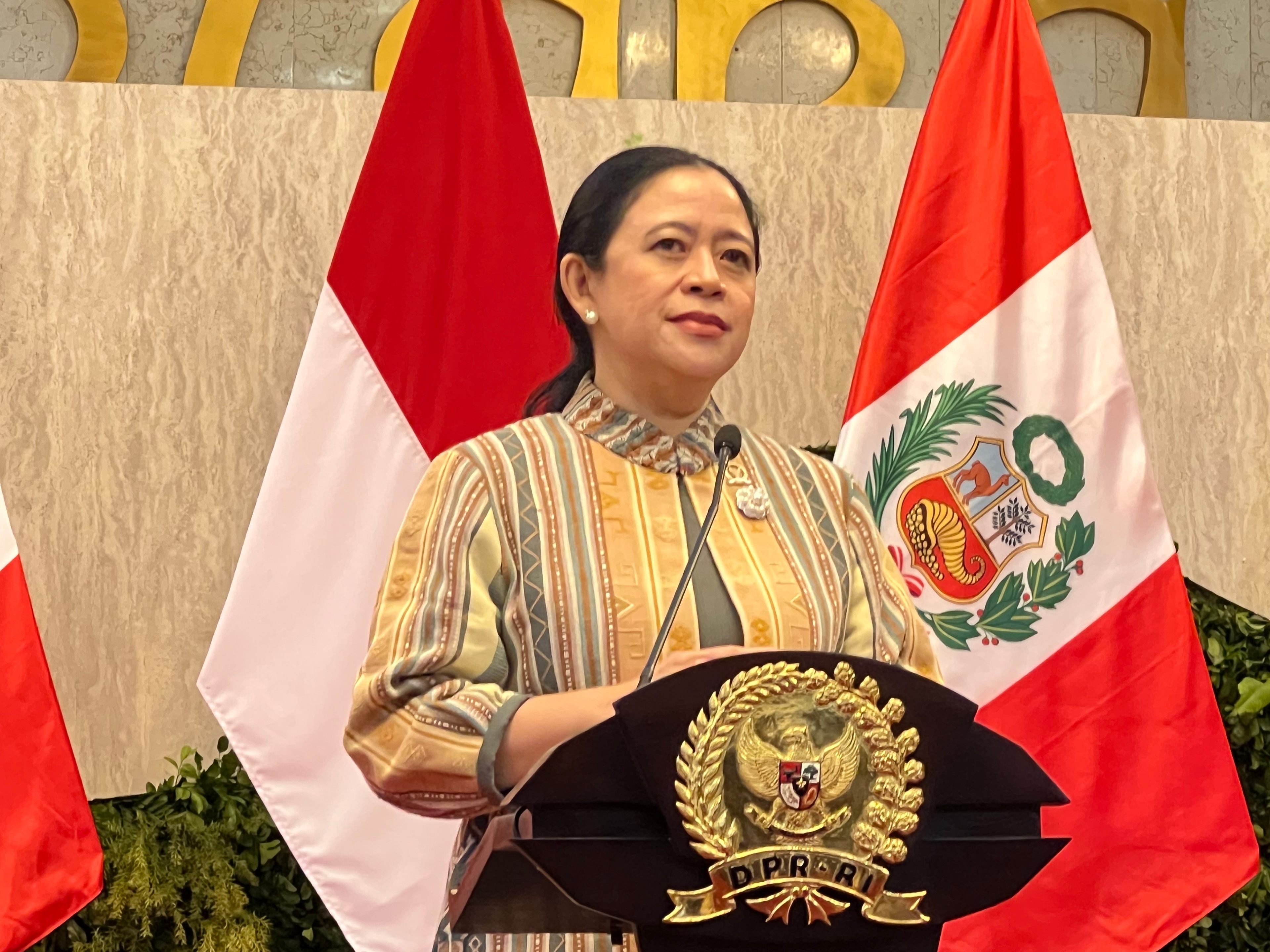 Puan Puji Prabowo Soal Pencabutan Izin Tambang Raja Ampat hingga Sengketa Pulau