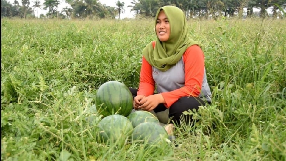 Koperasi Bangun Tani Makmur: Harapan Baru dari Kampung Cirumput untuk Petani Hortikultura