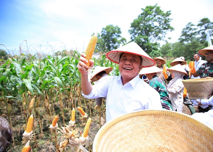 Sumsel Raih Apresiasi Kementan Atas Inovasi Padi Apung dan Gerakan Mandiri Benih
