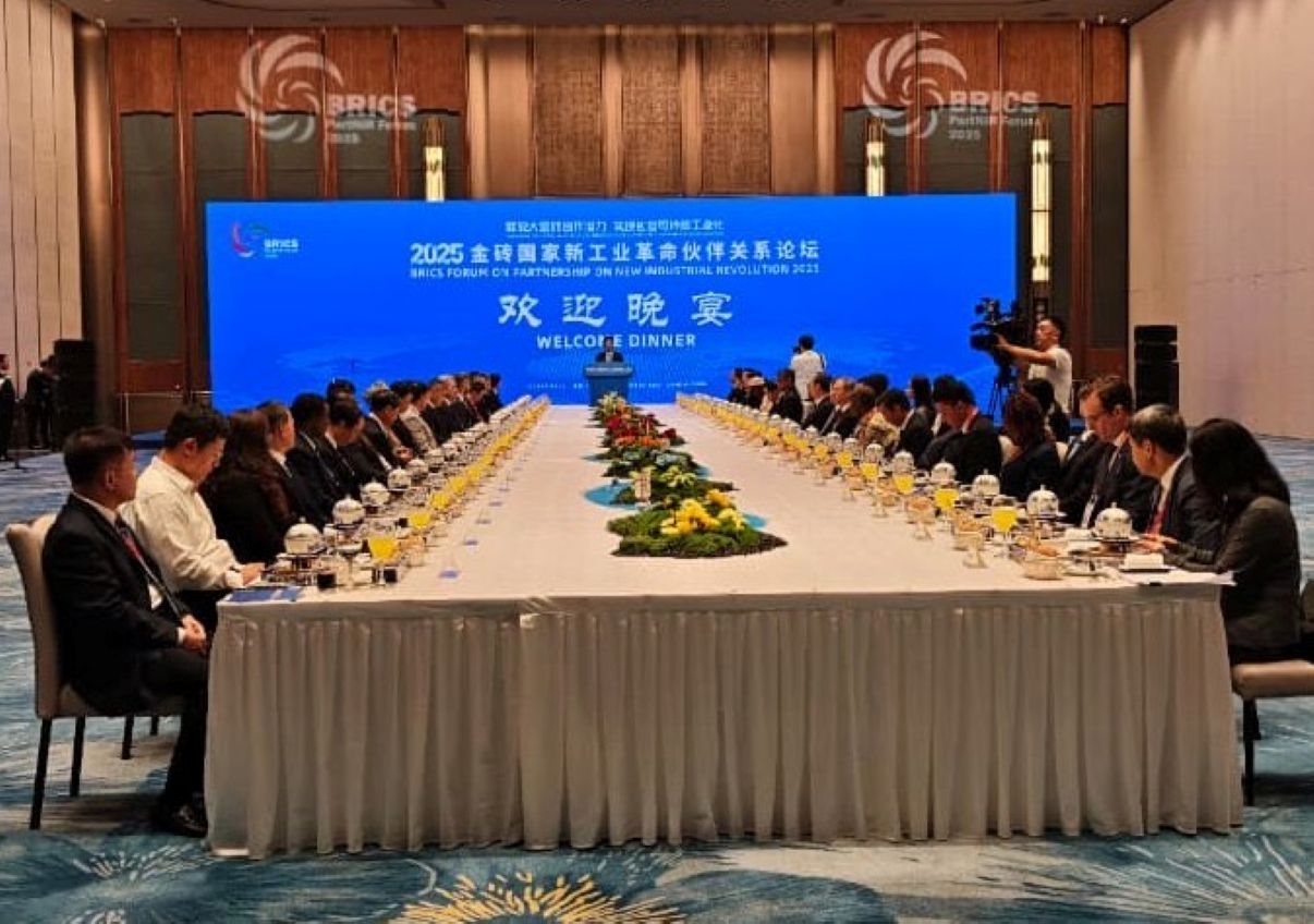 Di Forum BRICS, Wamenperin Faisol Riza Paparkan Strategi Industri Nasional