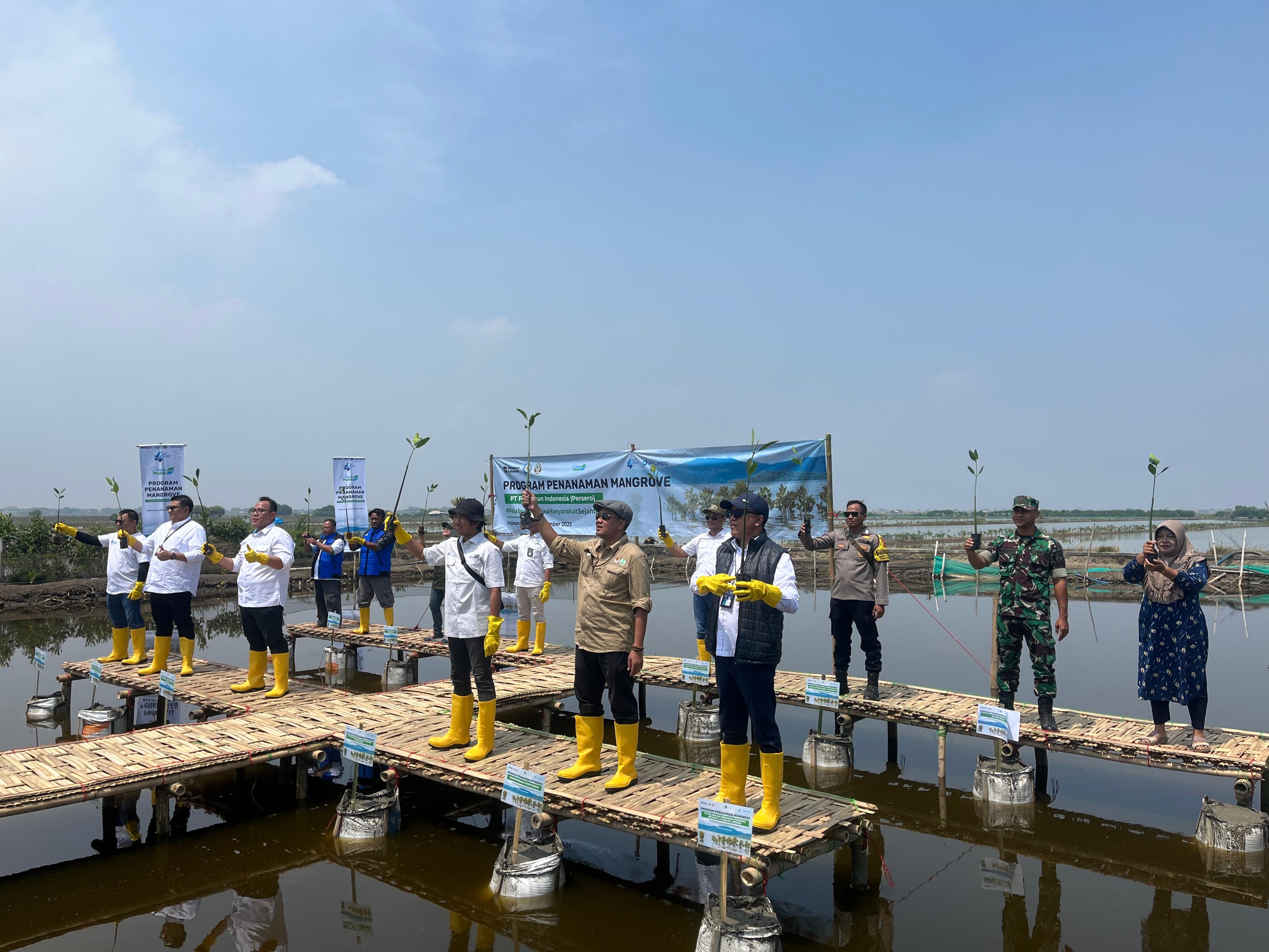 Mangrove Pelindo Perkuat Ekosistem Dorong Pelabuhan Hijau, Masyarakat Sejahtera