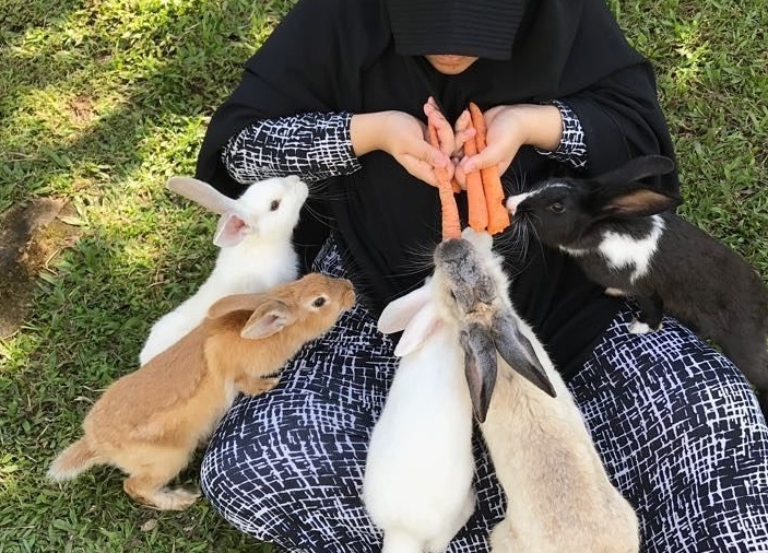 Mengapa Bulu Kelinci Rontok Berlebihan? Ini Penyebab dan Cara Mengatasinya