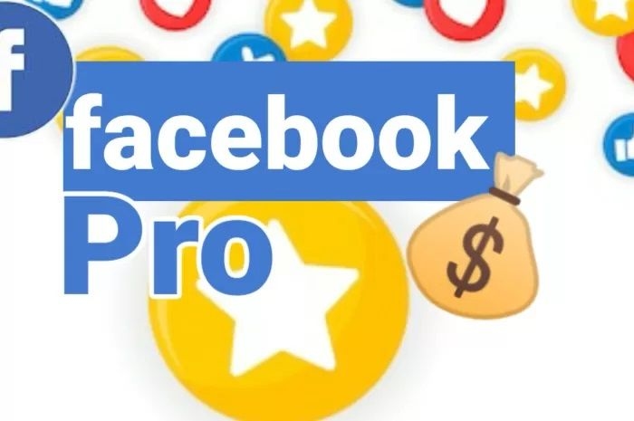 Facebook Pro Cocok untuk Dapatkan Penghasilan Sampingan