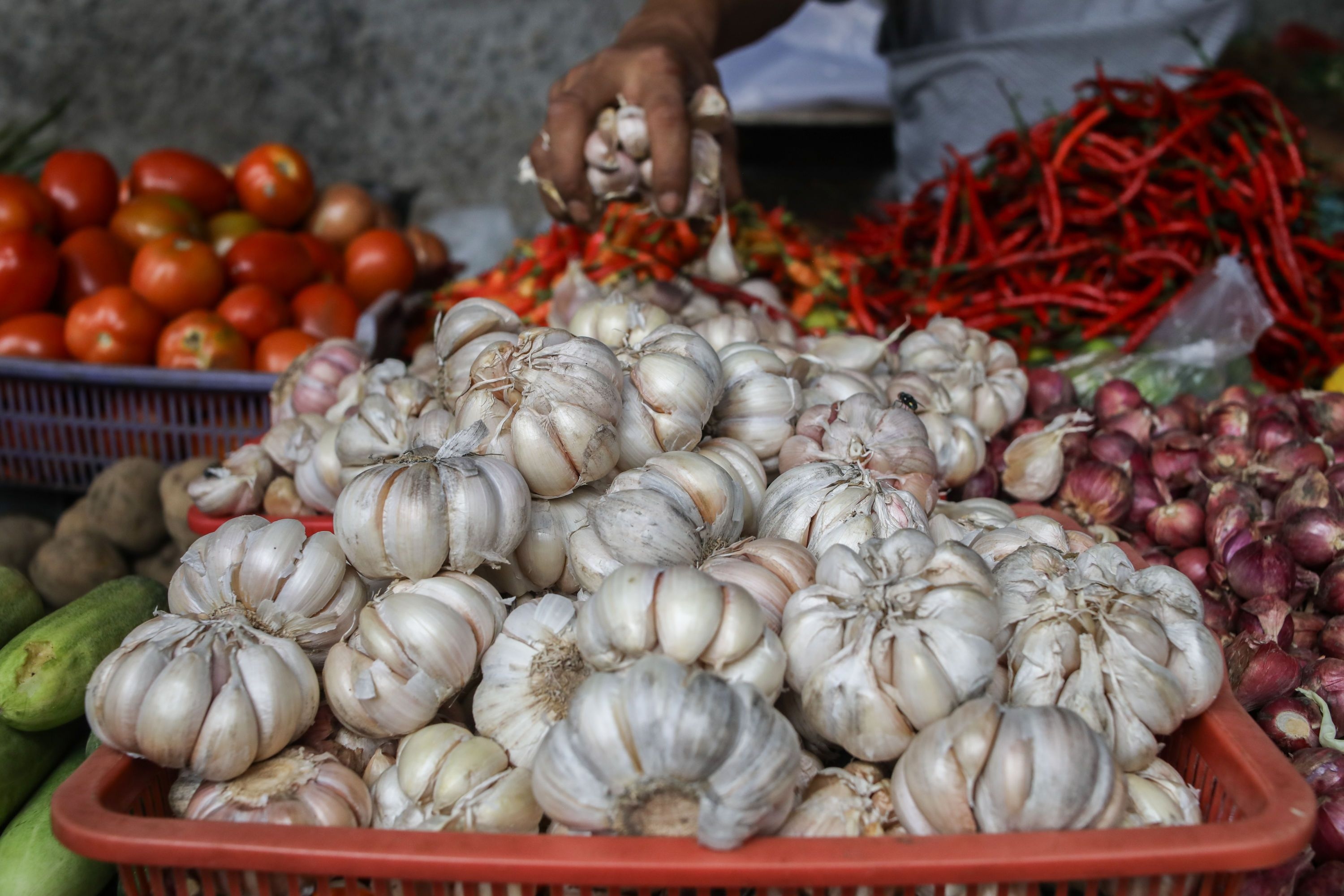 Mentan Amran: NTB Jadi Fondasi Benih Bawang Putih Nasional