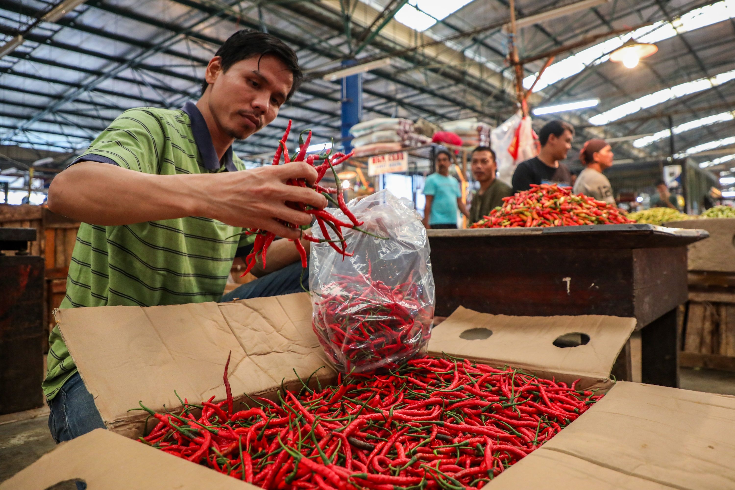 Pramono Anung Intervensi Harga Cabai, Target Normal Dua Pekan