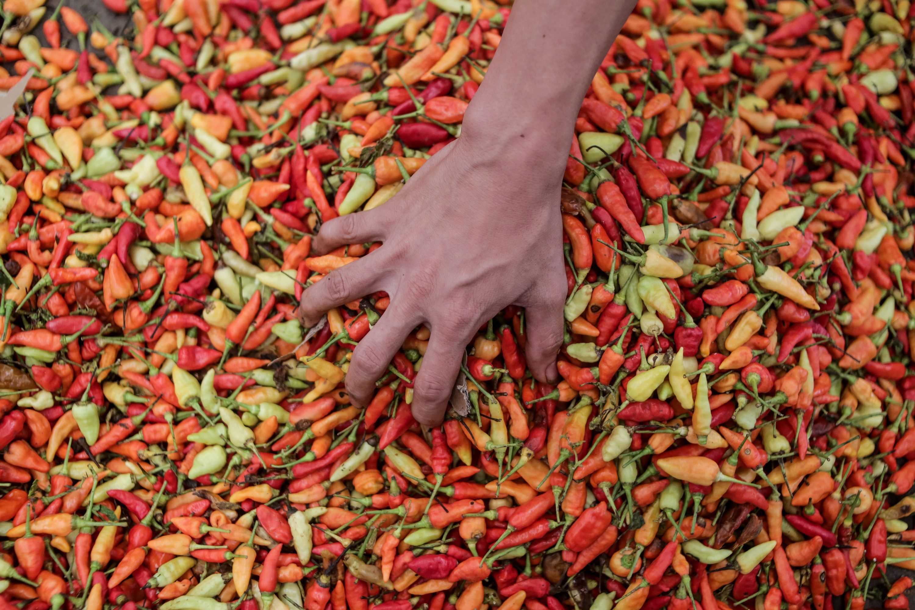 Jelang Ramadan, Harga Cabai Masih Tinggi