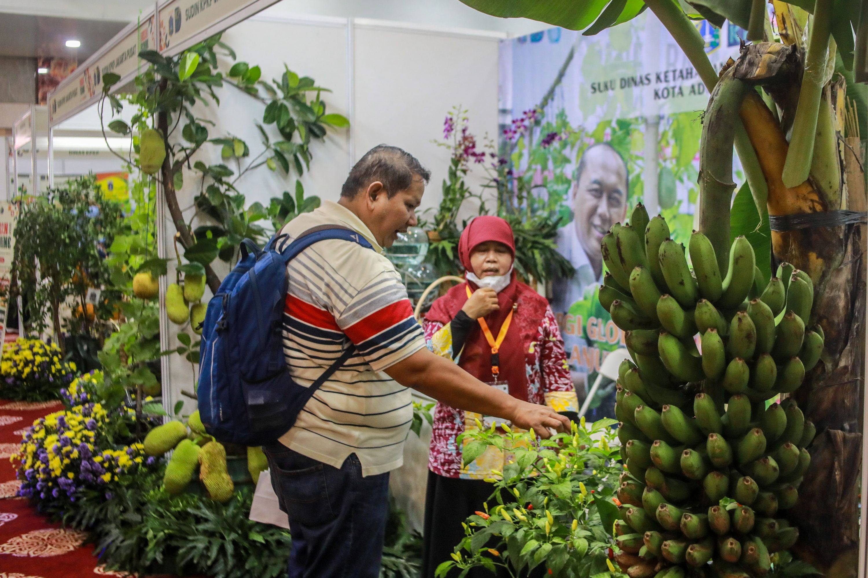 Mengenal Urban Farming, Inovasi Hijau untuk Bertani di Tengah Kota