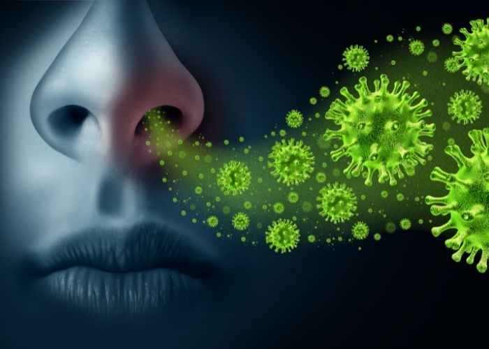 Doa Agar Terhindar dari Virus Influenza A, Segera Amalkan Sebelum Terlambat!