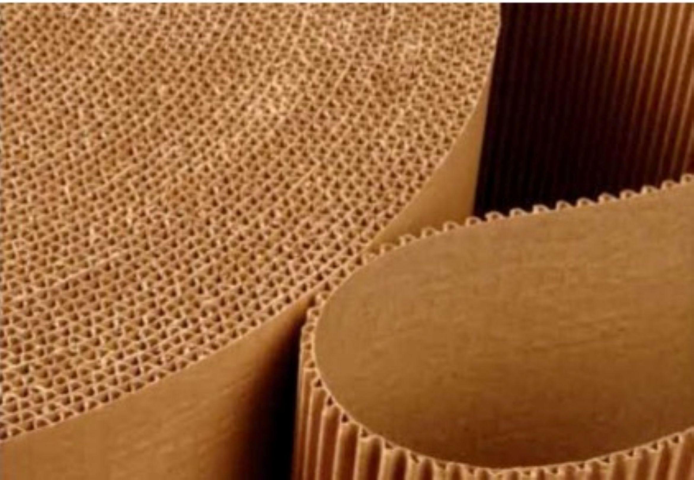 Kertas Beralur RI Bebas dari BMTP Filipina, Surplus Dagang Siap Melonjak