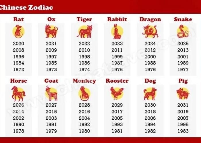 Ramalan Shio Siang Terbaru, 27 Januari 2026: Keberuntungan, Cuan, dan Drama Mini di Tengah Hari