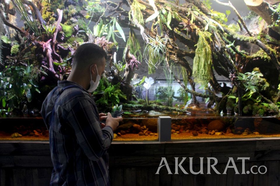 Aerator Bising Ganggu Kenyamanan? Ini Cara Efektif Meredam Suaranya