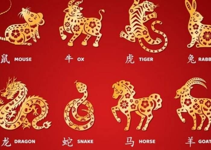 Ramalan Shio Siang Ini 6 Februari 2026: Cek Keberuntungan Karier dan Asmara Anda!