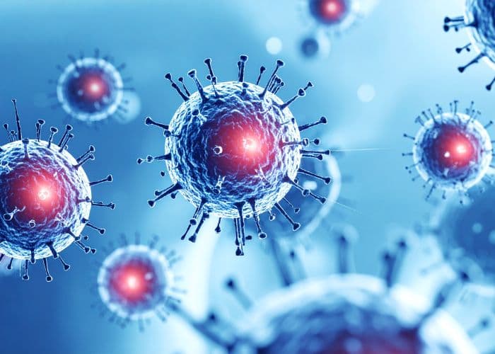 Waspada Gejala Hantavirus yang Mirip Flu, Kenali Tanda-tandanya Sejak Dini