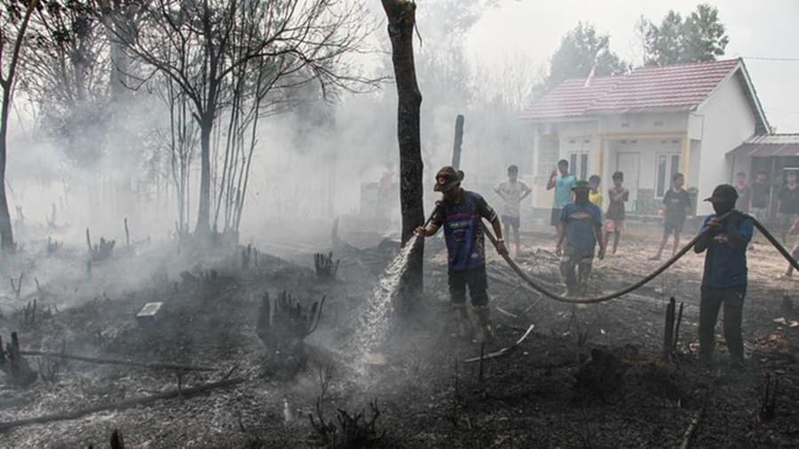 Karhutla di Kalimantan Terus Meluas, Pemerintah Didesak Ambil Langkah Luar Biasa