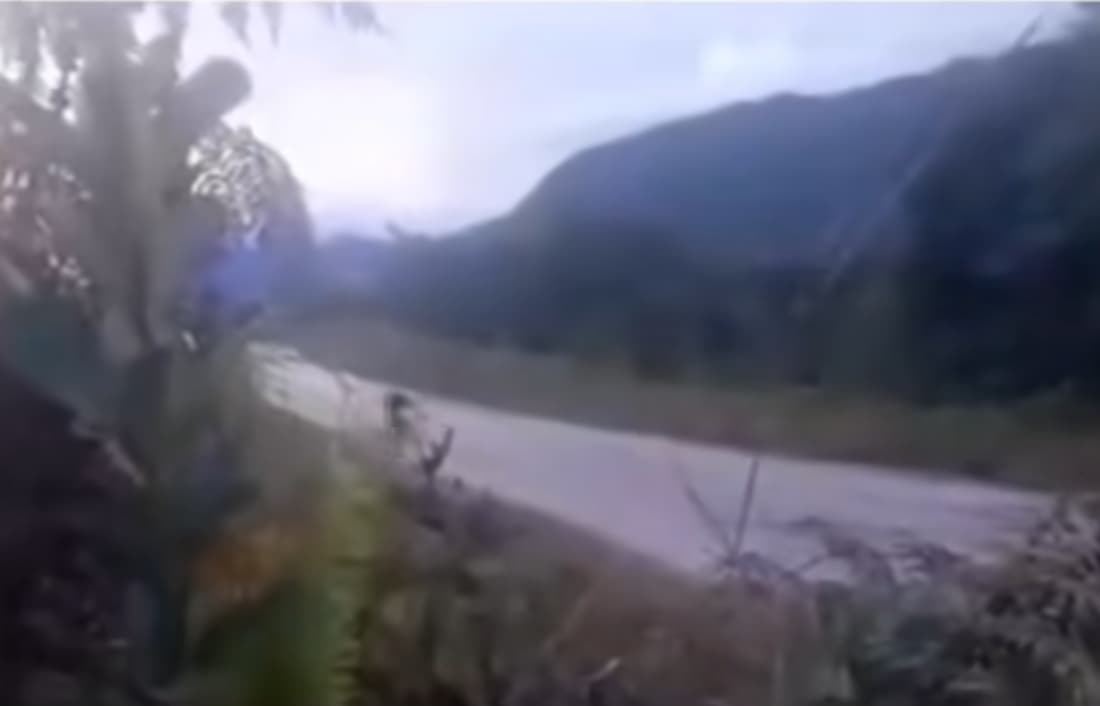 Keji! OPM Papua Tembak Danramil 04 Aridade, Aksinya Direkam dan Diunggah di Media Sosial